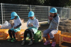 IMG_8417 (1) IMG_8417 (1)