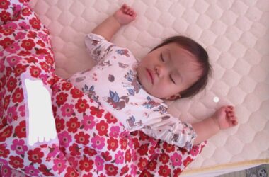 IMG_3065 IMG_3065