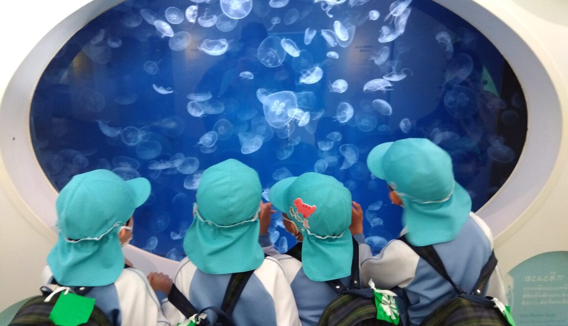 IMG_2025-12-02-11-18-57-248