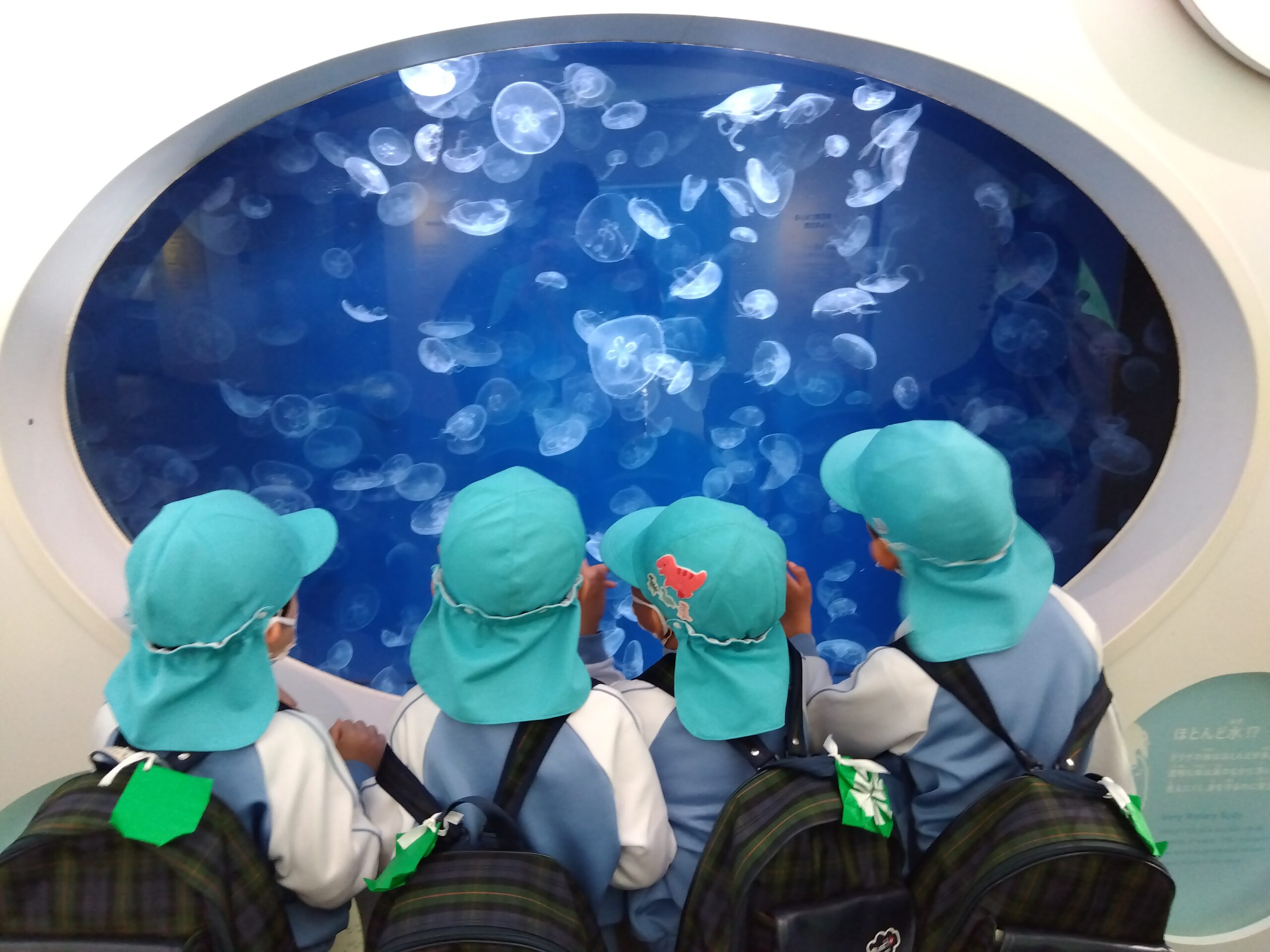 IMG_2025-12-02-11-18-57-248